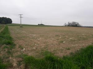 IMG-f18b7408ca27462ab8ee51f4a044a6b8-V